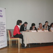 Participa CADHAC en el Encuentro con expertas del Comité CEDAW