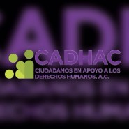 Preocupa militarización de la seguridad pública municipal